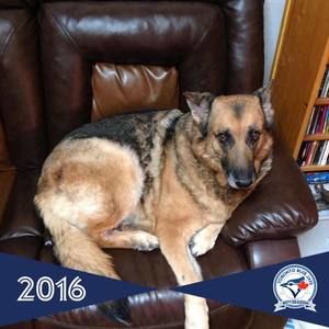 Meet your Posher, Mindy